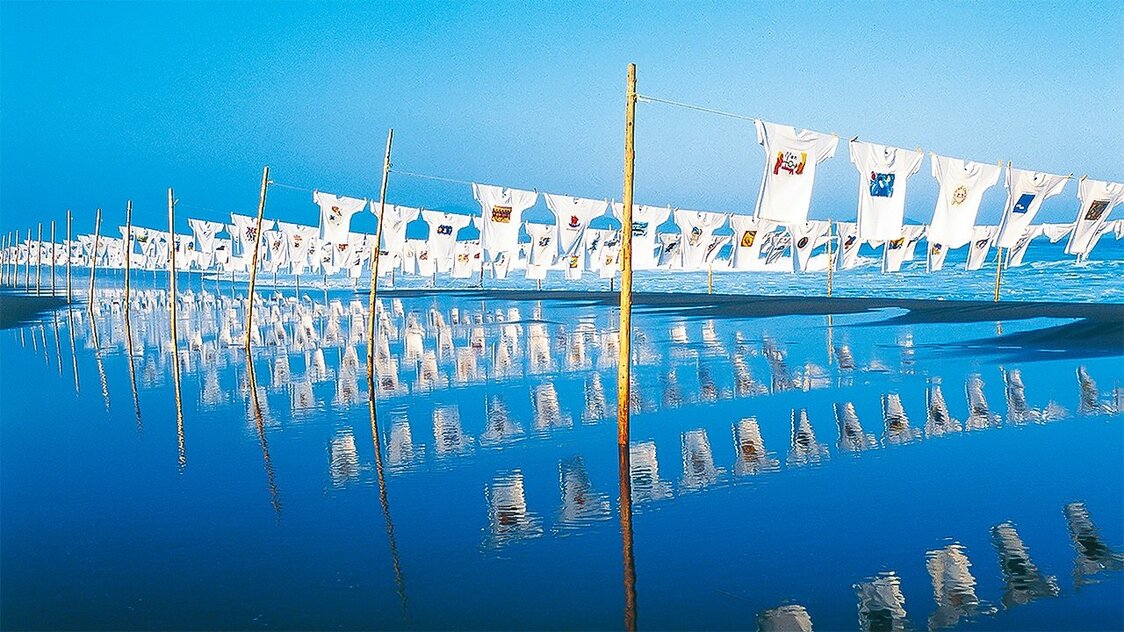 「砂浜美術館」最大のイベント「Tシャツアート展」。ハワイやモンゴルなど海外でも実績がある。Tシャツが砂浜に吹く風を受けてはためく光景は圧巻だ（黒潮町提供）