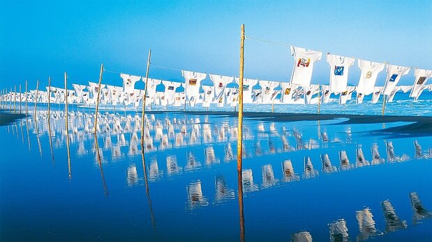 L'événement le plus important du Musée de la Plage est l'exposition annuelle de « T-shirt Art ». L’exposition s’est également tenue à l’étranger, dans des pays comme Hawaï et la Mongolie. La vue des T-shirts flottant au vent sur la plage de sable est spectaculaire. (Photo avec l’aimable autorisation de la ville de Kuroshio)
