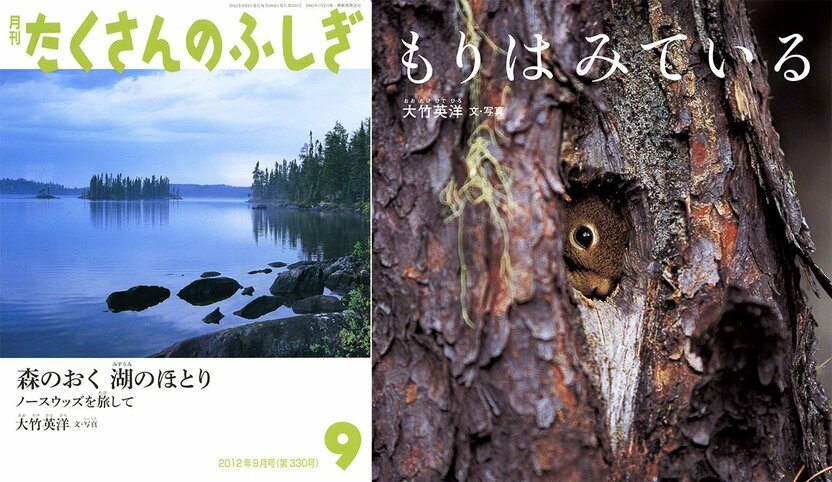 たくさんのふしぎ2012年9月号『森のおく 湖のほとり ノースウッズを旅して』(福音館書店)『もりはみている』(福音館書店)