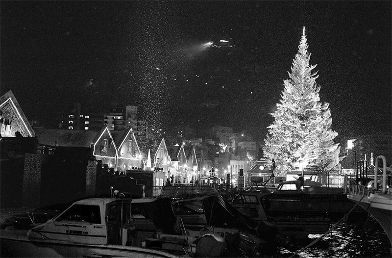 Un arbre de Noël devant les entrepôts de briques