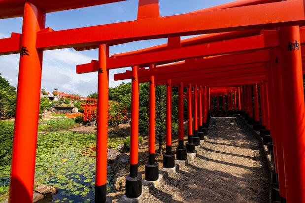 沿地勢而上的千本鳥居。穿行在鳥居中放眼望去,蓮花池的景色格外優美