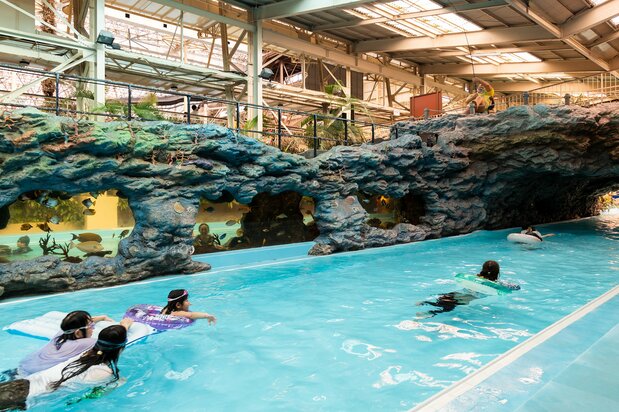 日本第一座“流动的水族箱泳池”,可让人体验与鱼群共游的感觉