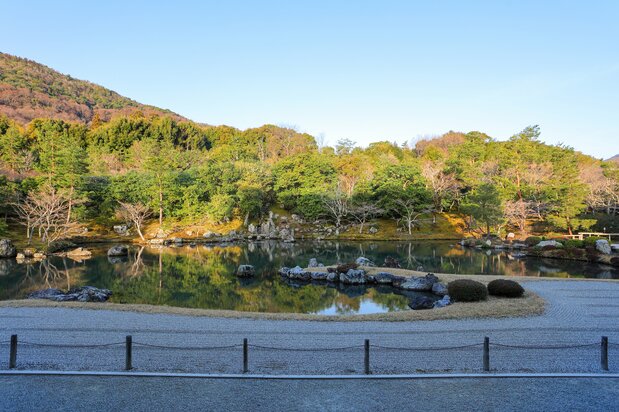 池前的景观模拟优美的海岸线而建