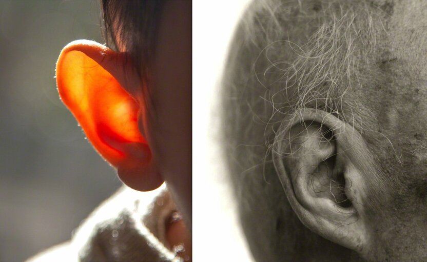 Two ears: on the left, the ear of a one-year-old infant; on the right, the ear of a centenarian. Of the five senses, hearing is said to be the one that lasts until the moment of death. (© Ōnishi Naruaki)