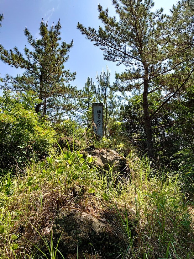 The monument bearing Takahama Kyoshi’s poem.