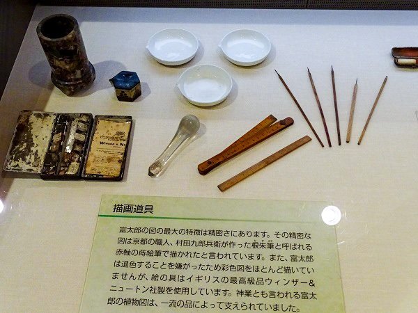 牧野富太郎繪圖工具（筆者攝影）