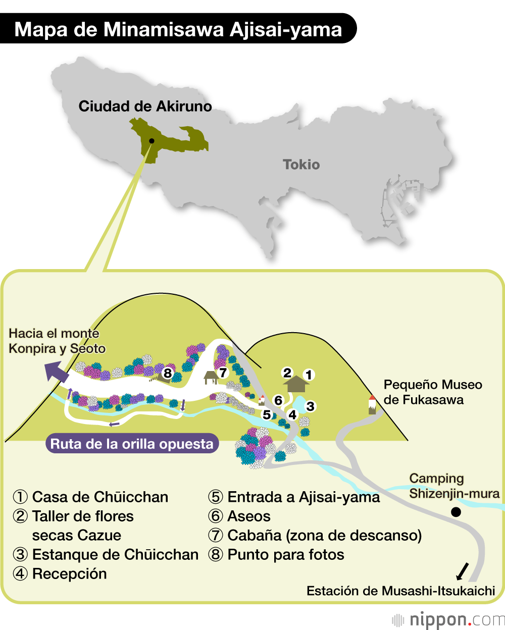 Ajisai-yama, un monte de hortensias cultivado durante medio siglo