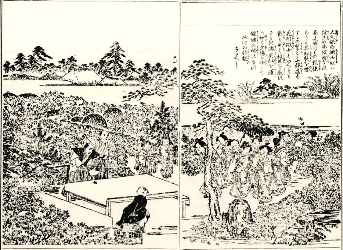 百人組が栽培したツツジは「大久保の映山紅（えいさんこう/赤紫色のツツジ）」として庶民に親しまれた（『江戸名所図会』国立国会図書館所蔵）