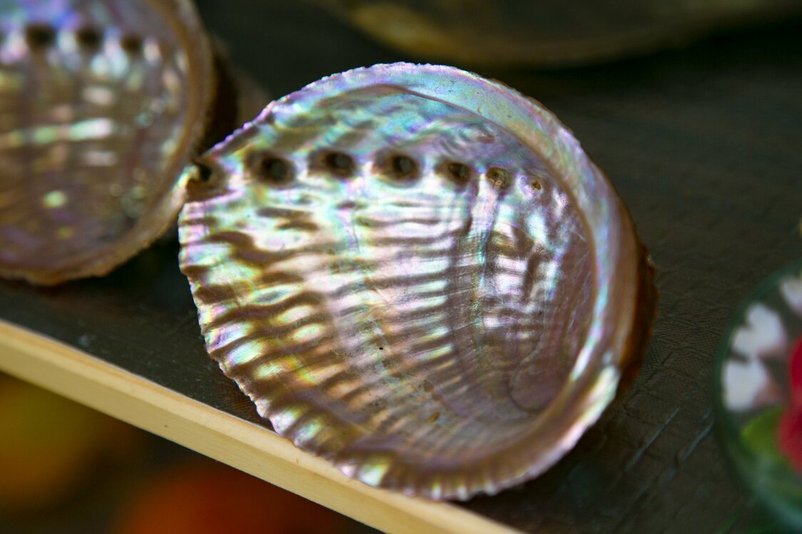 Les chrétiens cachés de Sakitsu utilisaient des coquilles de mollusque tairagi (atrina pectinata) et des coquilles d’ormeau comme objets de culte. Ils disaient voir des images de la Vierge Marie dans les motifs nacrés.