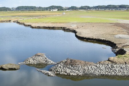 印旛沼の堤防が決壊し、浸水した田んぼ＝１６日、千葉県成田市