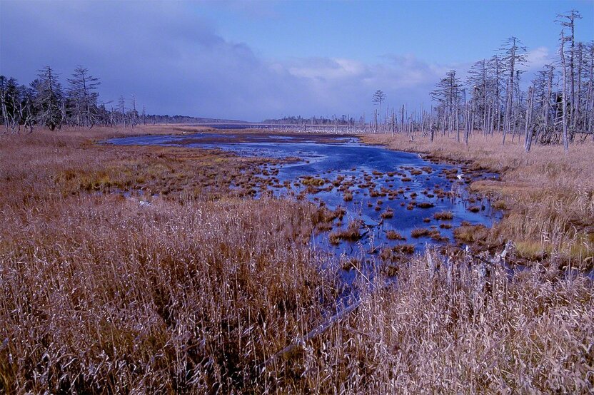 En el lago Fūren (Betsukai, Nemuro), conocido como destino de migración del cisne cantor, pueden avistarse más de 300 especies de ave salvajes. 