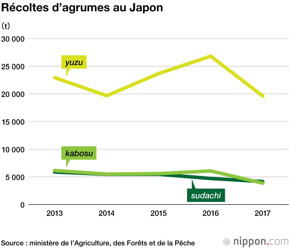 « Yuzu », « sudachi » et « kabosu » : un zeste d’agrume qui transforme la cuisine japonaise