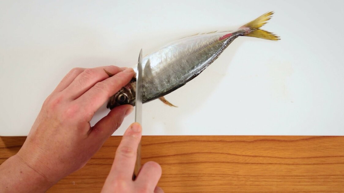 Japanese Seafood Culture: How to Fillet a Horse Mackerel