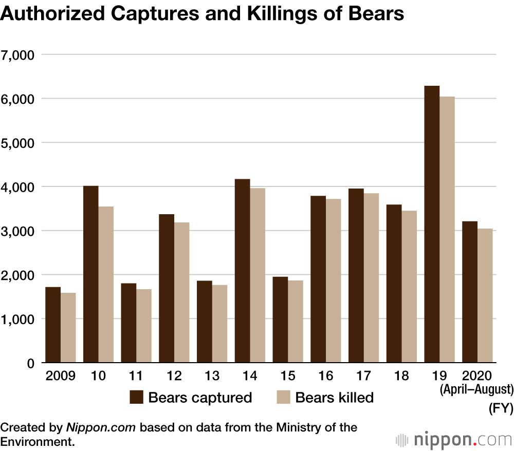 Bear Sightings on the Rise in Japan