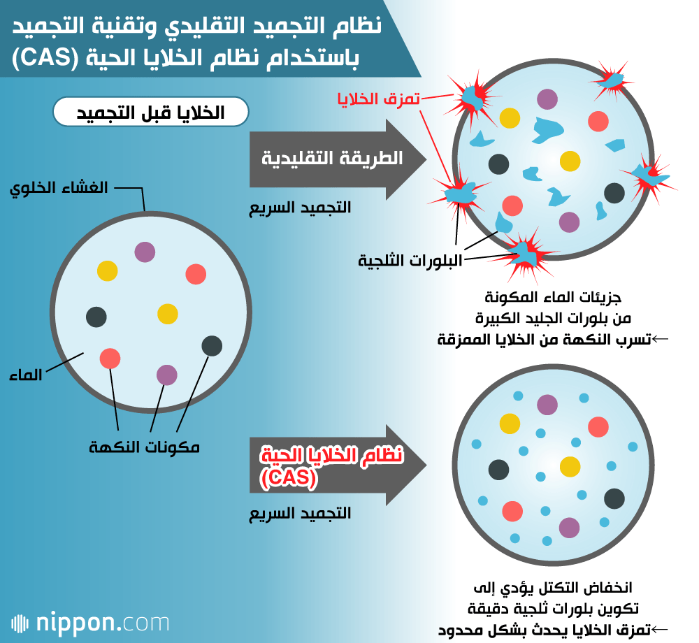 تقنية لحفظ الأطعمة: هل تنقذ كوكب الأرض يومًا ما؟