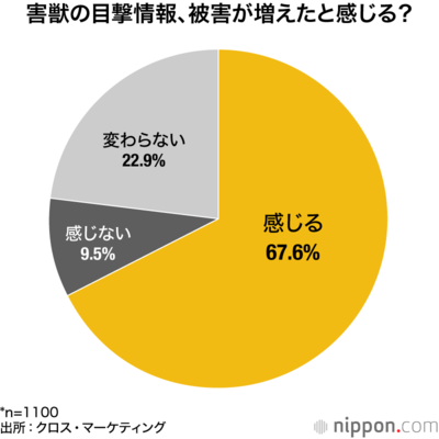 害獣の目撃情報、被害が増えたと感じる？