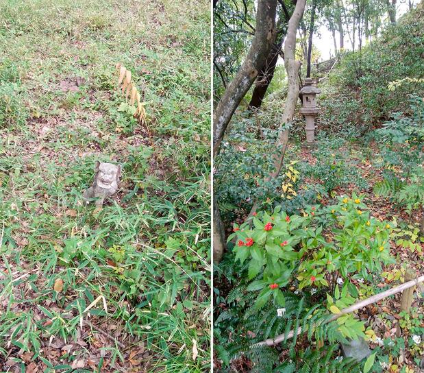 白洲次郎故居“武相庄”内 笔者摄影