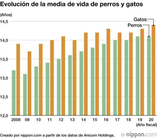 Evolución de la media de vida de perros y gatos