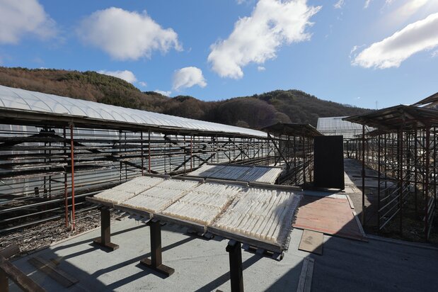 A kanten drying station at the Nagano company Irisen, with the Tateshina mountain range in the background. (© Nomura Kazuyuki)