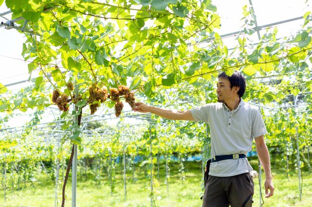 中尾秀明さんも「うちのブドウだけで造ったワインが飲みたい」という一人　写真提供：郡山市