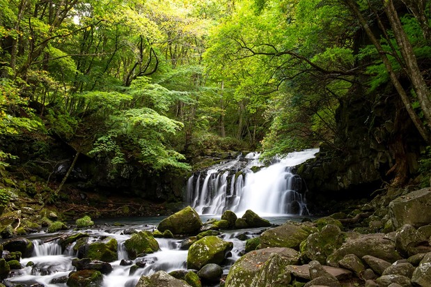 La cascada de Ōtaki en los Altos de Tateshina, donde Ozu Yasujirō pasó los últimos años de su vida.