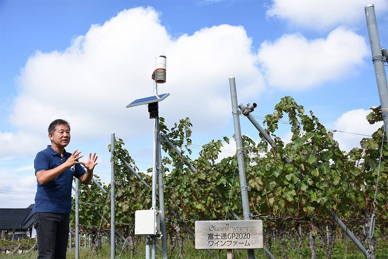Nakamura Masakazu explique le fonctionnement d’un capteur Fujitsu installé dans ses vignes à Okunota Winery. Les données collectées sont transmises via un réseau sans fil.