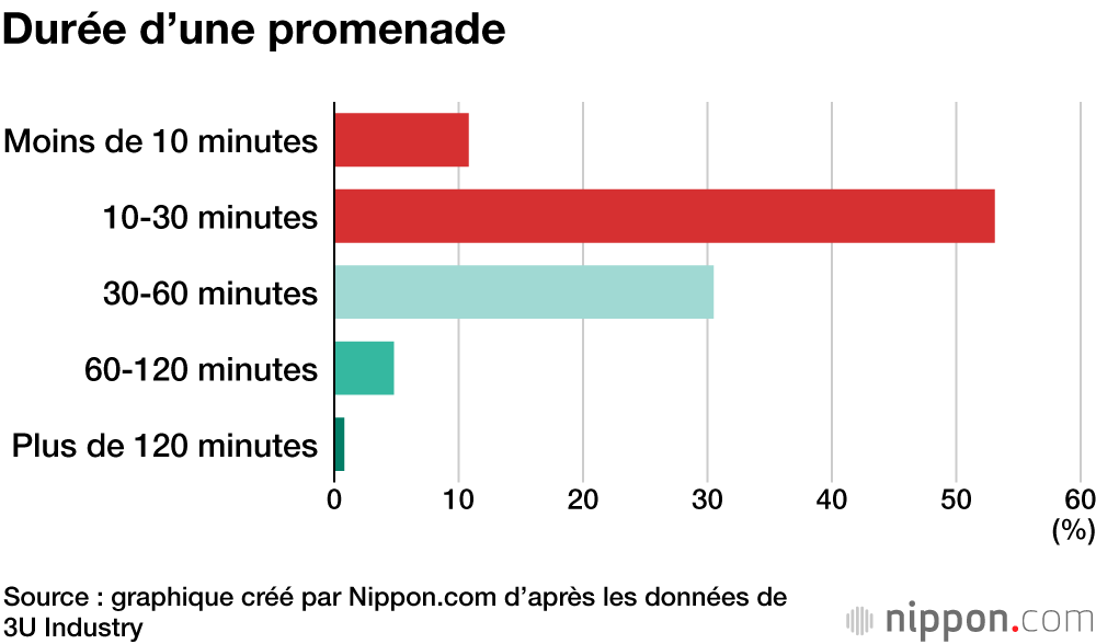 Le coup de gueule des chiens japonais : « Jouez plus avec nous ! »