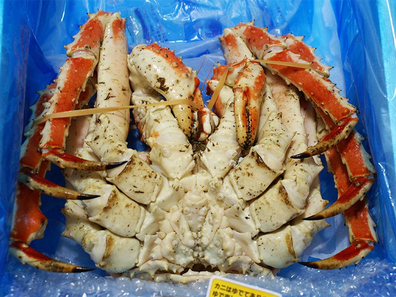 Crabe royal délivré en colis réfrigéré