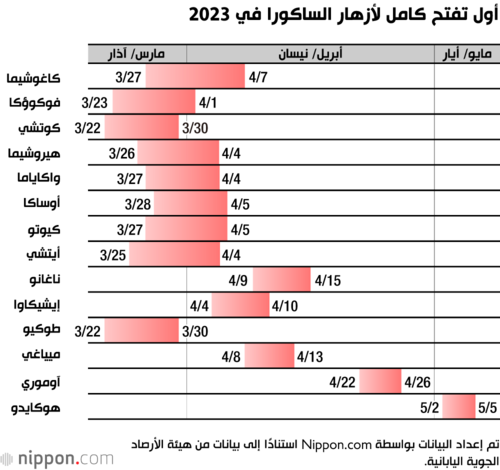 أول تفتح كامل لأزهار الساكورا في 2023