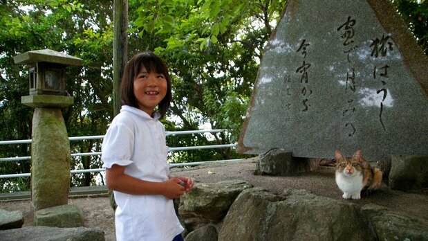 The cats are popular with the children of Ushimado, but many adults say there are too many of the animals. (© 2024 Laboratory X, Inc)
