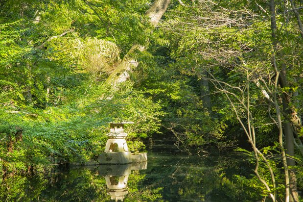 根津美術館 日本庭園(PIXTA)