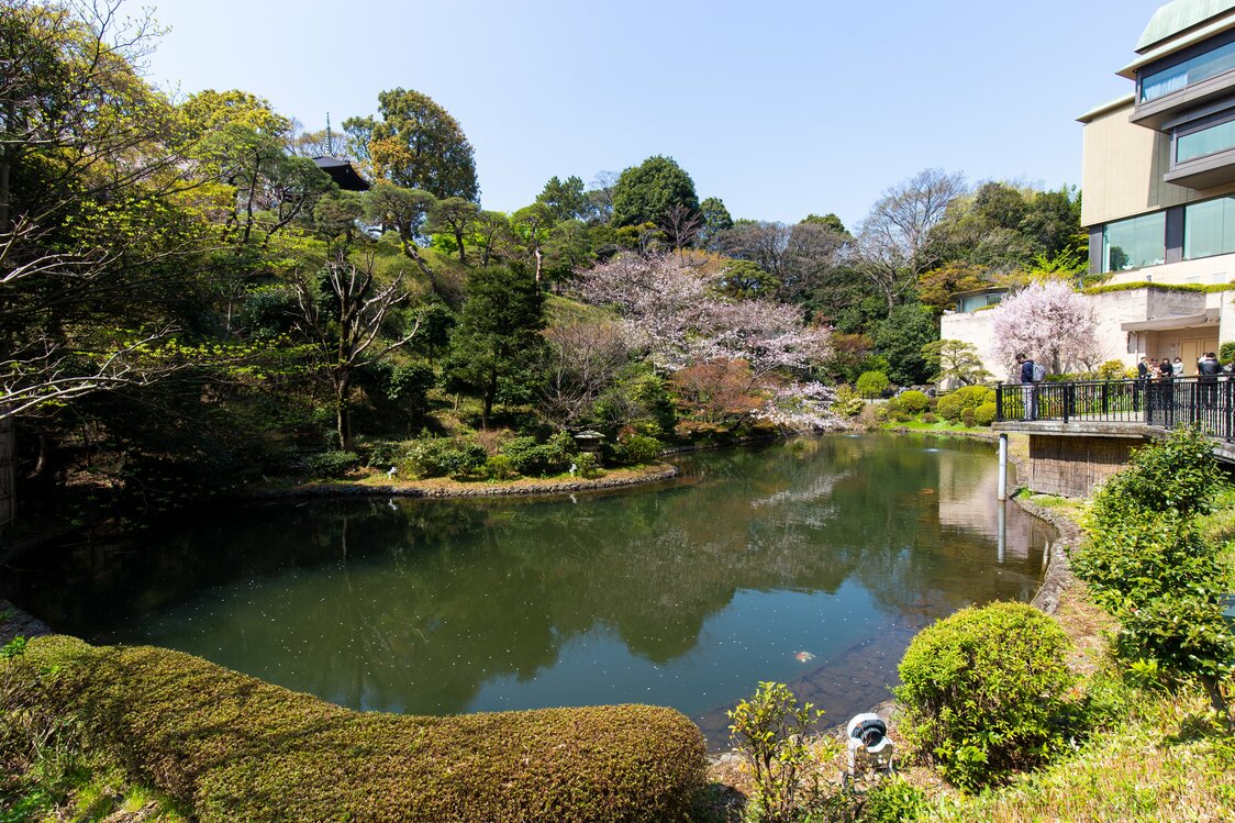 L’étang Yûsuichi : pièce maîtresse du jardin depuis l’époque de Yamagata Aritomo