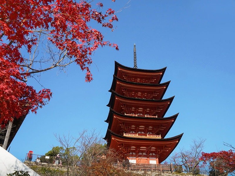 La pagoda de cinco pisos del santuario Toyokuni entre hojas rojas.