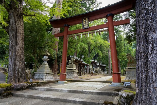 A single torii gate, unusual for an entrance to multiple shrines, is the entrance to both Okamoto and Ōtaki. (© Nippon.com)