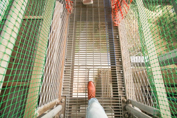 立ち入り禁止ゾーンをゆく！　大迫力の「瀬戸大橋スカイツアー」に潜入した