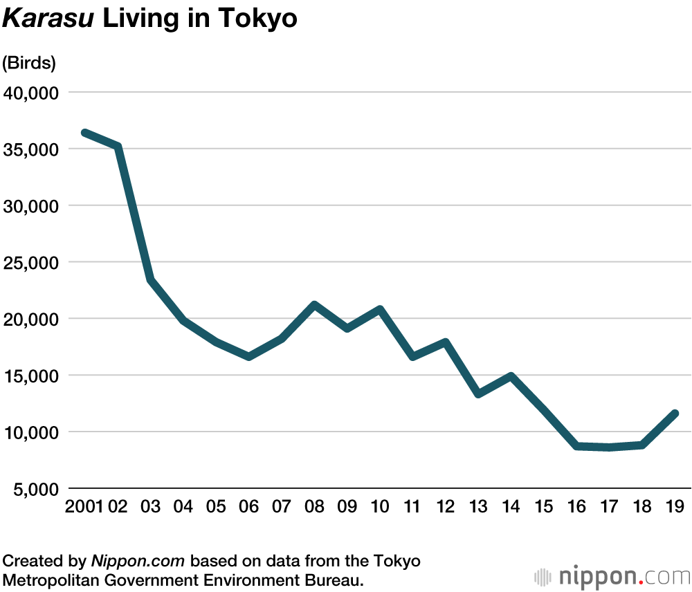 The Clever “Karasu”: Wise Old Birds Living Side by Side with Humans
