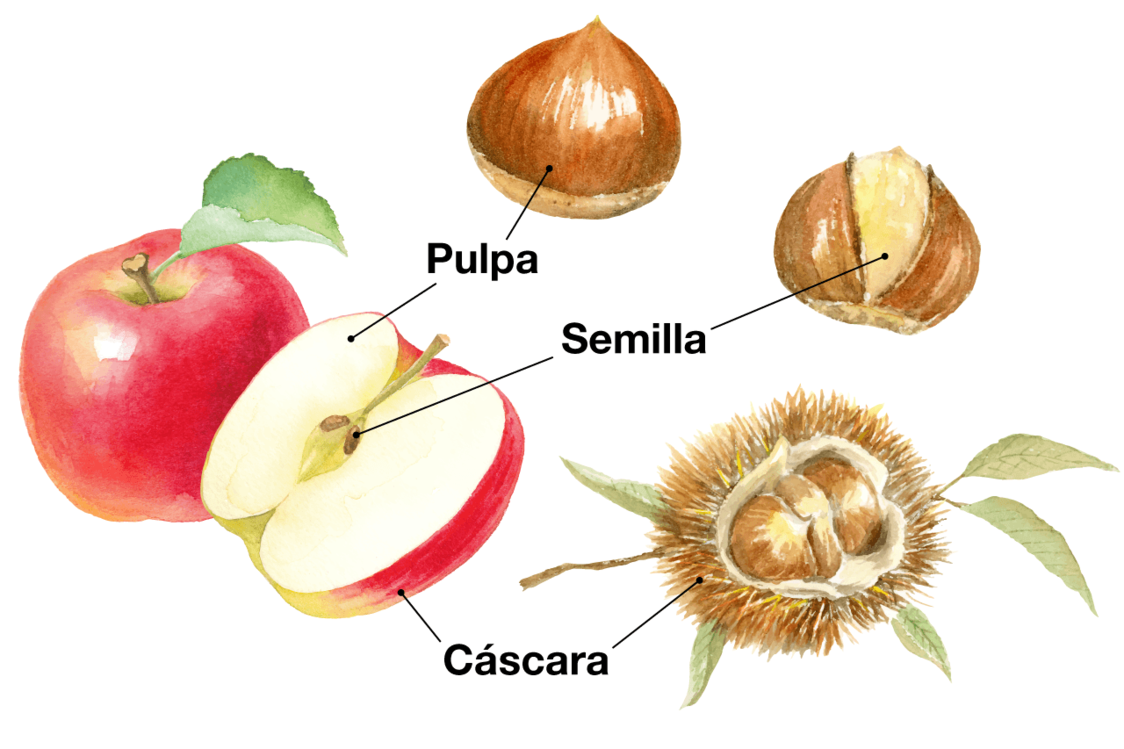 Castañas, un ingrediente otoñal con un toque de lujo