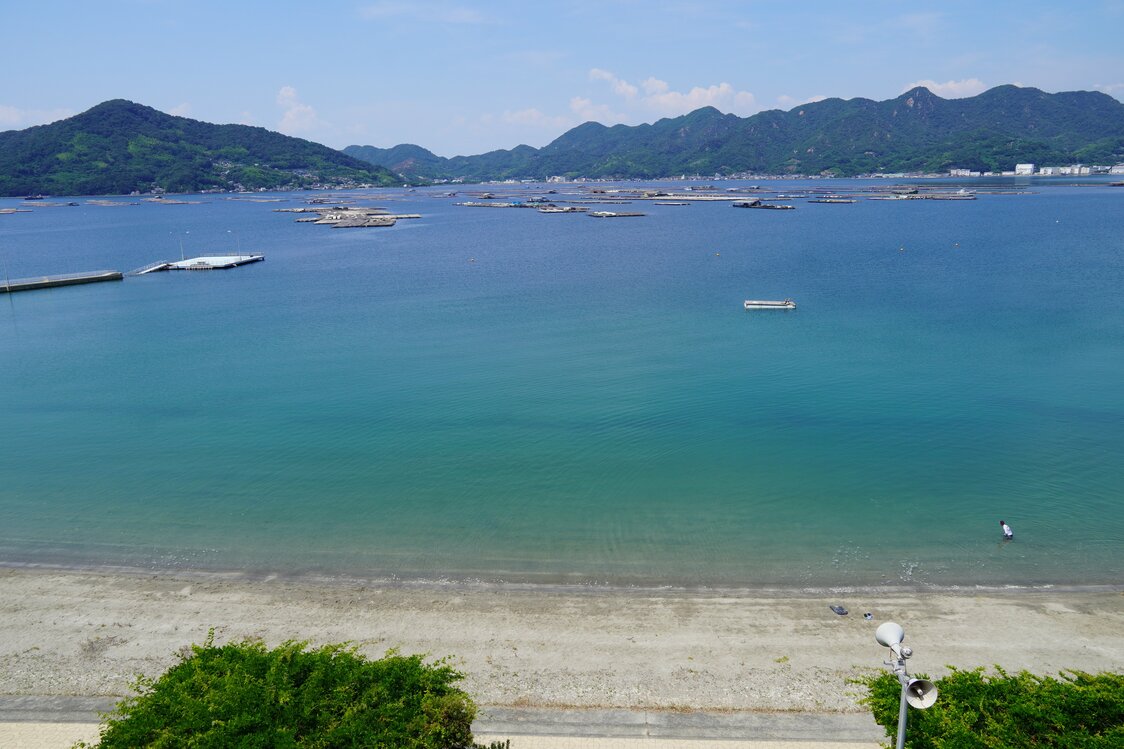 如今的濑户内海是日本首屈一指的牡蛎养殖产地，海面上漂浮着“牡蛎筏”