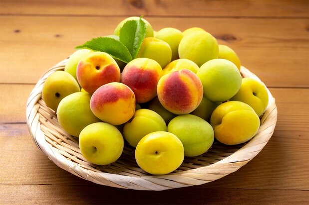 Japanese ume plums. (© Pixta)