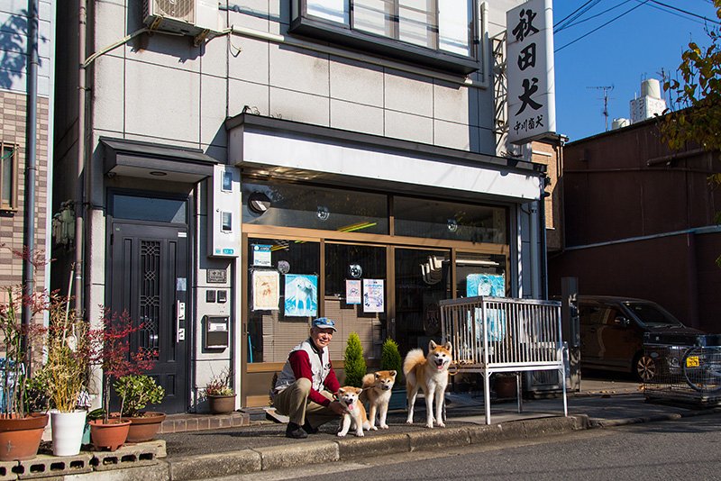 中川畜犬店の前で秋田犬たちと