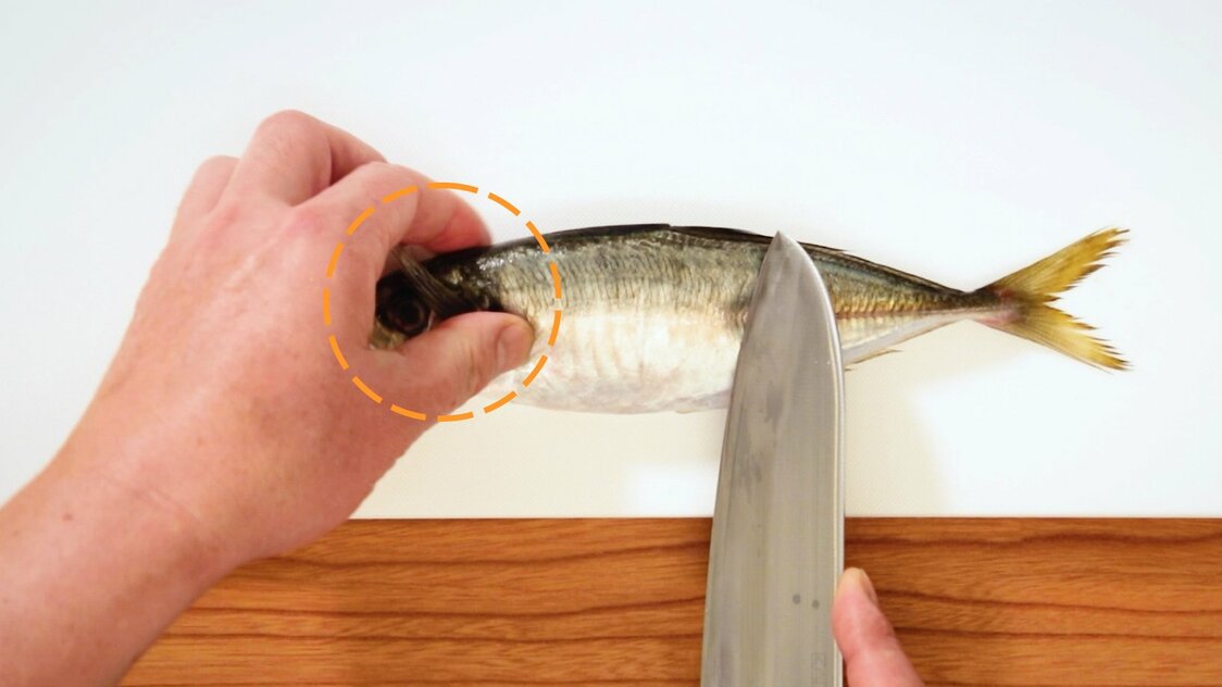 Japanese Seafood Culture: How to Fillet a Horse Mackerel