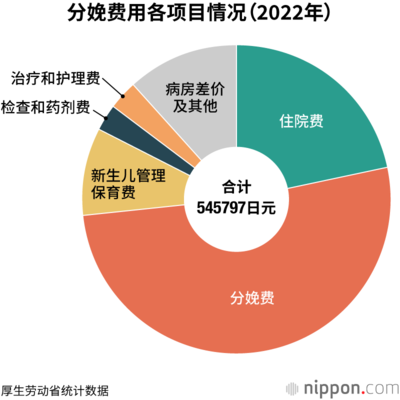 分娩费用各项目情况（2022年）