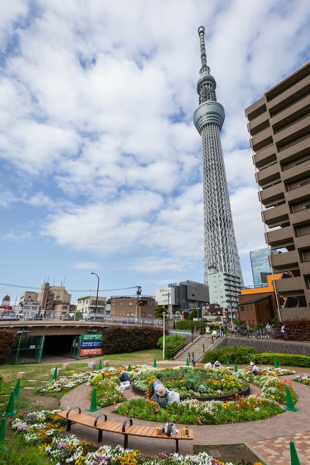 花壇の整備が行われていた大横川親水公園