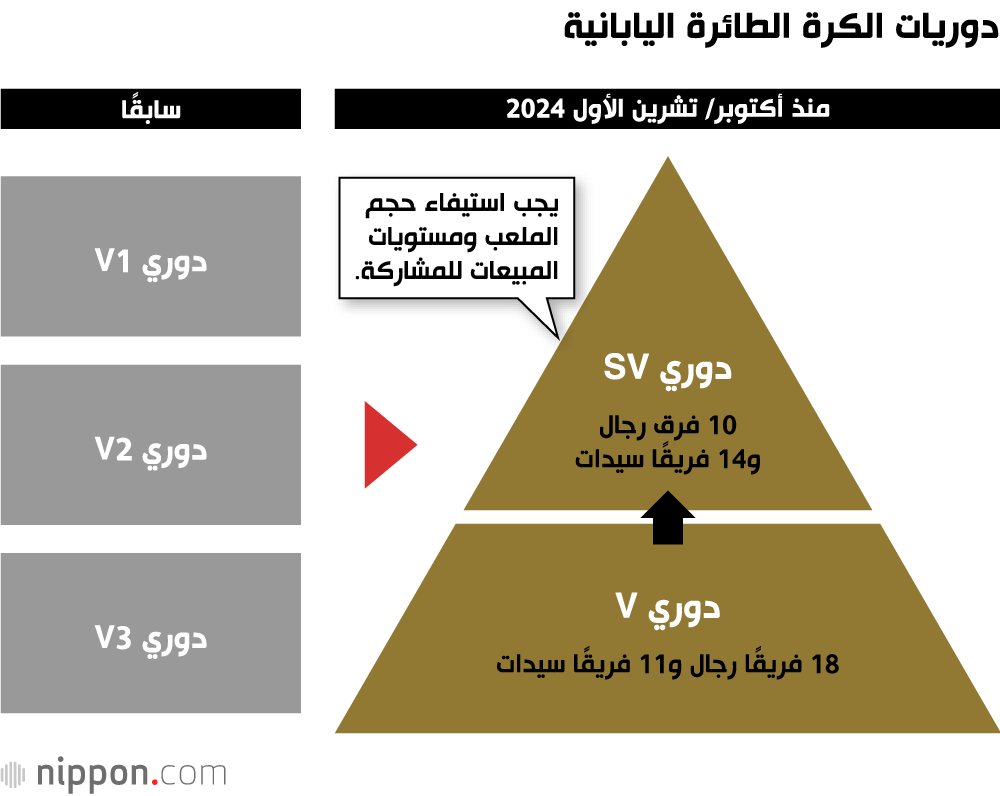 دوريات الكرة الطائرة اليابانية