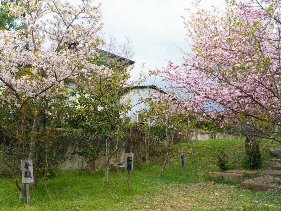 桜ごとに名札が設置されている