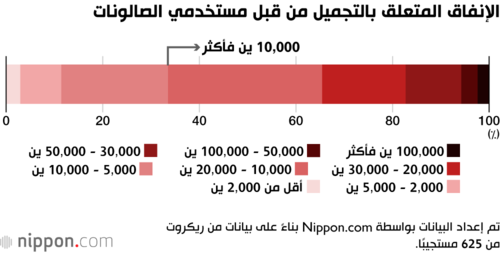 الإنفاق المتعلق بالتجميل من قبل مستخدمي الصالونات