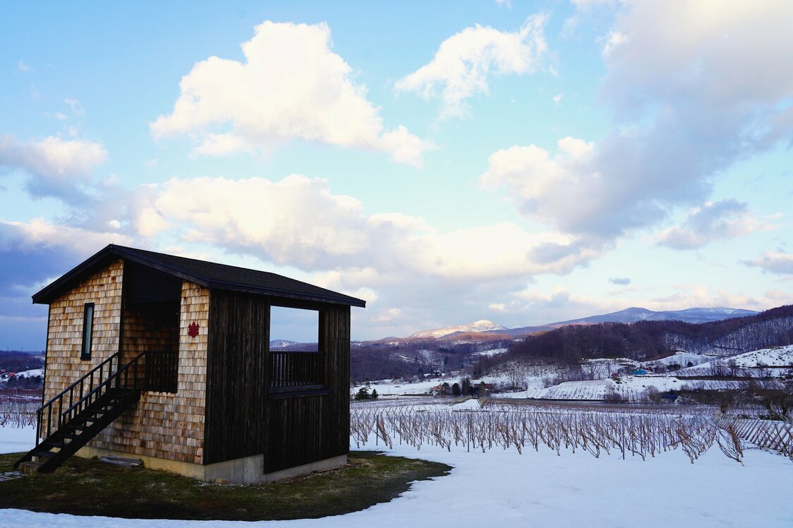 Le vignoble de Nanatsumori au Domaine Takahiko. Une plateforme d’observation a été mise en place pour les touristes. (© Ukita Yasuyuki)
