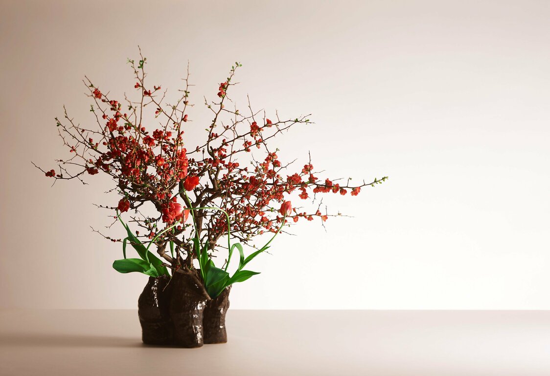 敕使河原茜家元作品。花材：貼梗海棠、鬱金香（和田惠攝影，生花草月流提供）