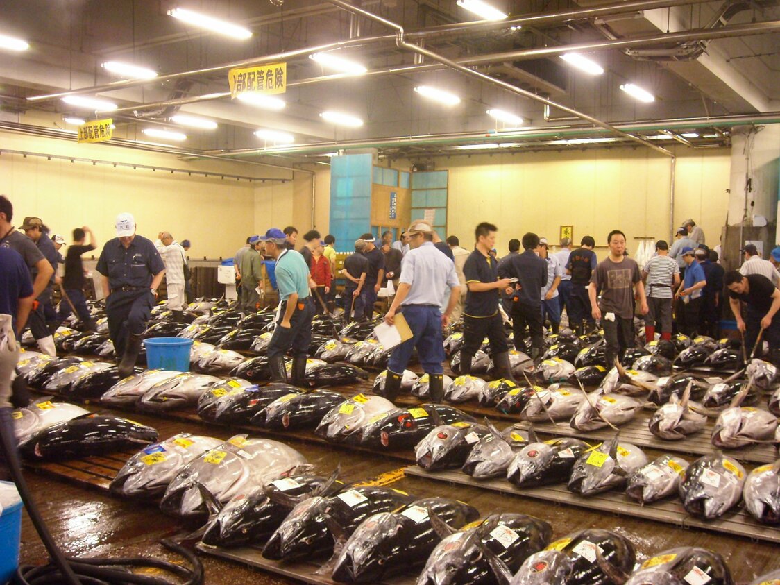旧築地市場の生マグロの卸売場。バブル期以降入荷は減少傾向