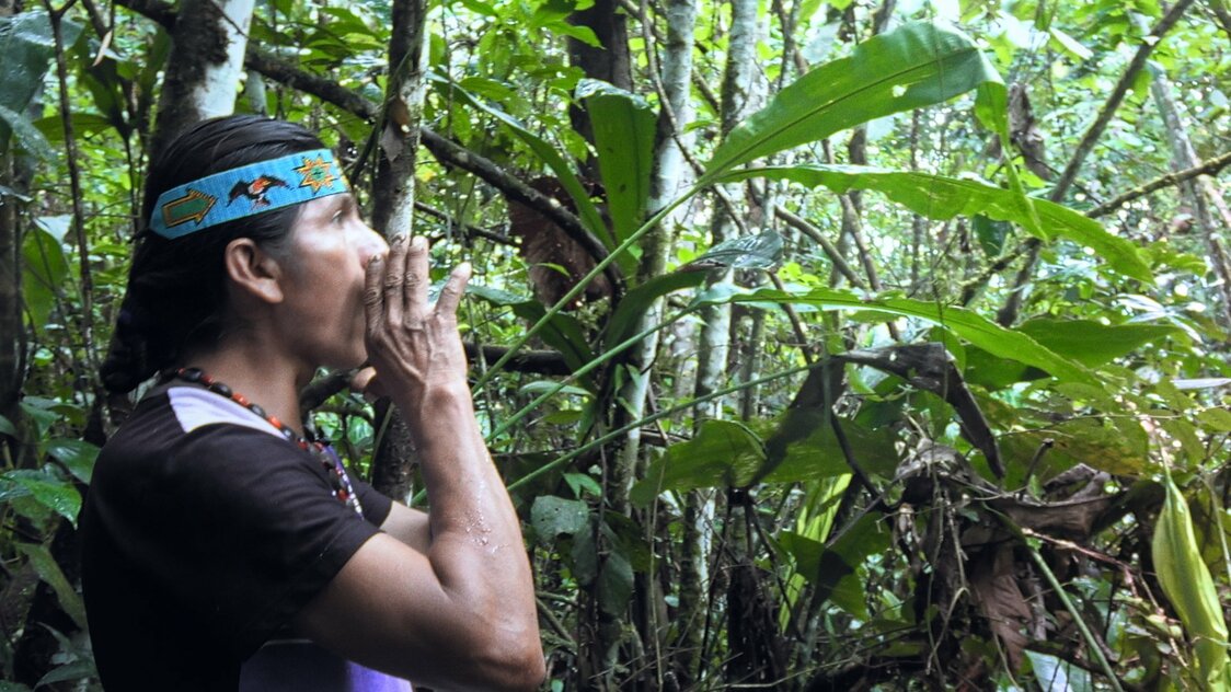 Sebastián s’aventure dans un champ jusqu’à ce qu’il trouve l’endroit idéal pour appeler ses compagnons. (© Akimi Ota)